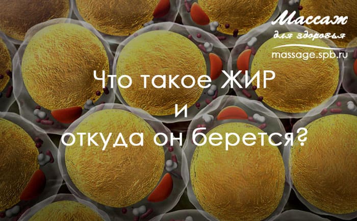 массаж и жир