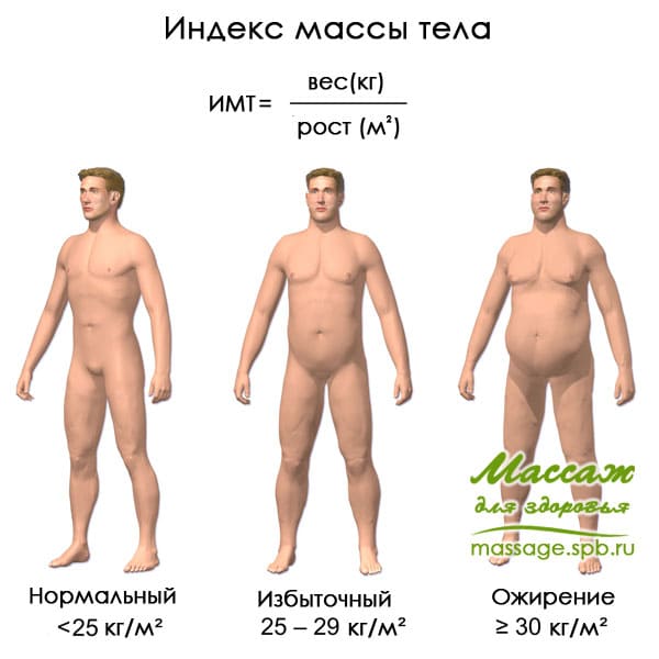 индекс массы тела