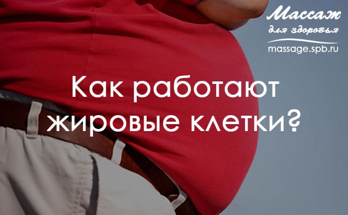 массаж и жир