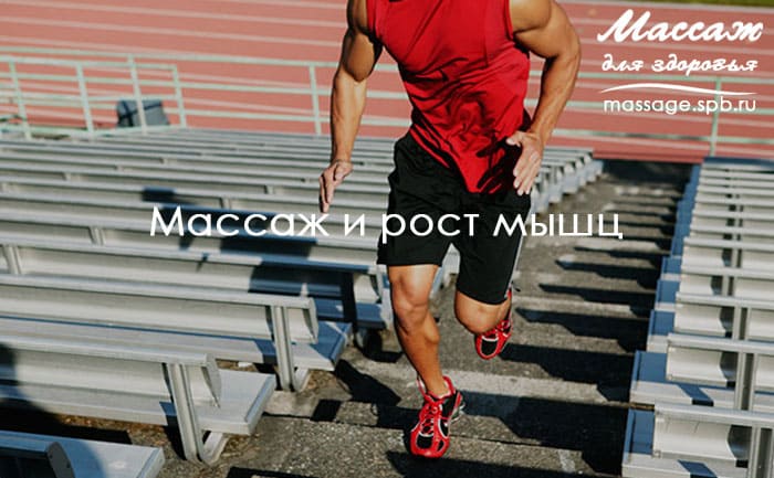 массаж и рост мышц
