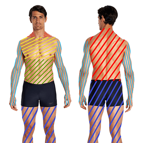 зоны входящие в общий массаж