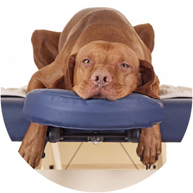 что делать до массажа