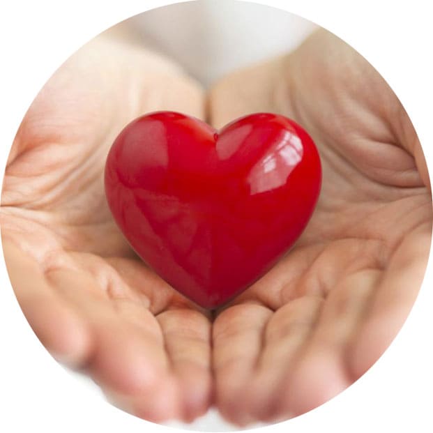 массаж и здоровье сердечно-сосудистой системы