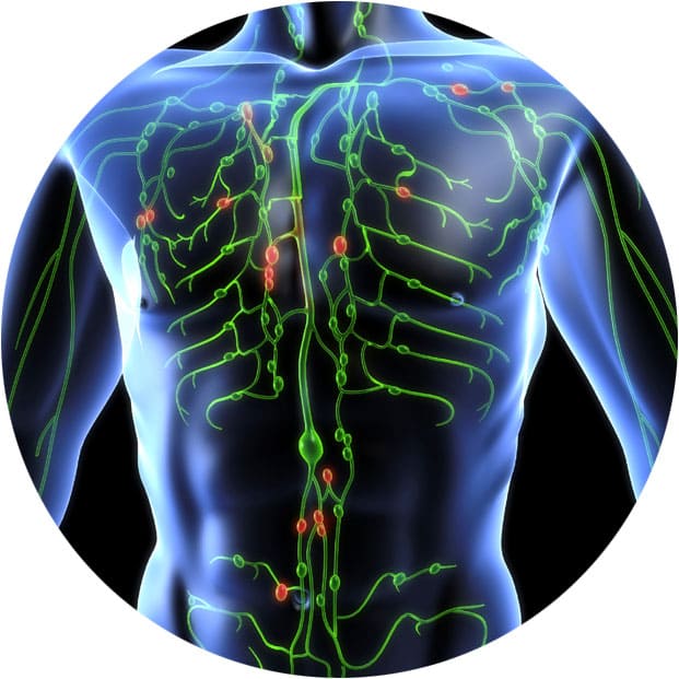 лимодренажный массаж