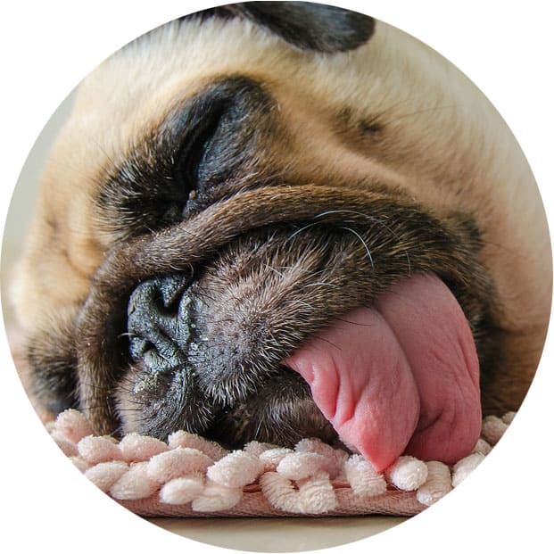 массаж и хроническая усталость