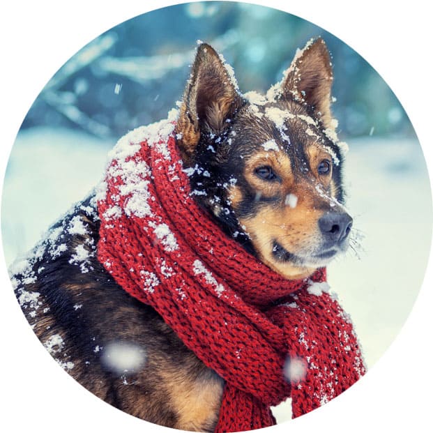 массаж зимой