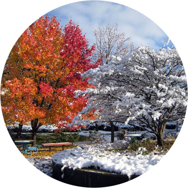 общий массаж