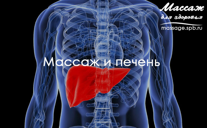 массаж и печень